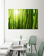 Obraz Bambusarium 1455